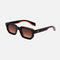 Brown Lenses / Black Brown Frame